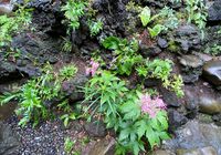 IMG_3090_R