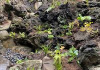 IMG_1251_R