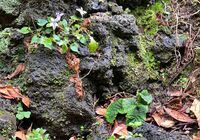 IMG_E6467_R