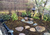 IMG_9541_R