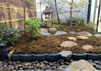 IMG_9566_R