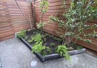 IMG_5775_R