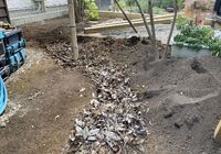 IMG_6061_R