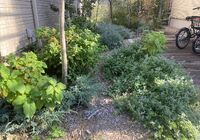IMG_8106_R