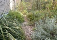 IMG_8104_R