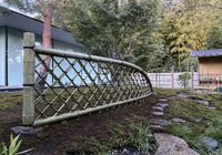 IMG_7582_R