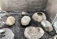 IMG_4458_R