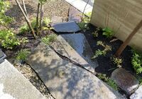IMG_4376_R