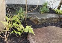 IMG_3911_R