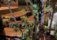 IMG_3893_R