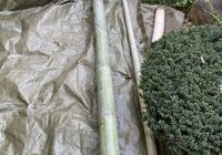 IMG_6937_R