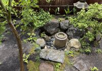 IMG_9954