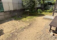 IMG_9524