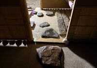 IMG_0233