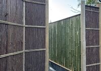 IMG_9002