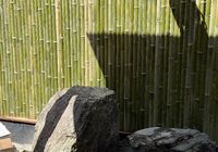 IMG_9037