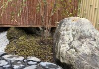 IMG_9133