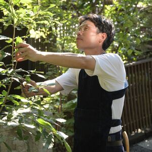 a逶ｸ讓｡蜴・29