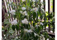 IMG_6827_R