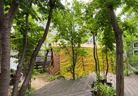 IMG_6854