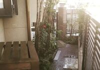 IMG_20180724_230546_118-1