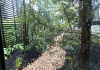 IMG_3086_R
