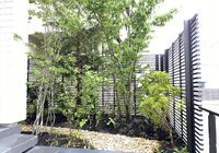 IMG_3038_R