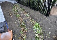 IMG_2976_R