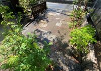 IMG_2480_R