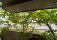 IMG_6907_R