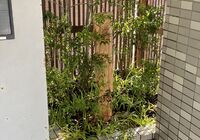 IMG_4101_R