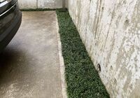 IMG_5361_R