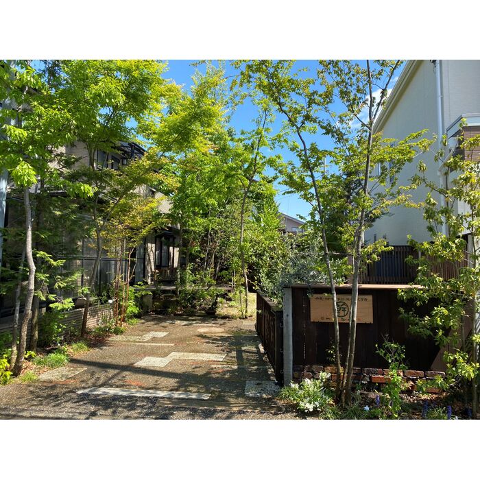 雑木と山野草の庭